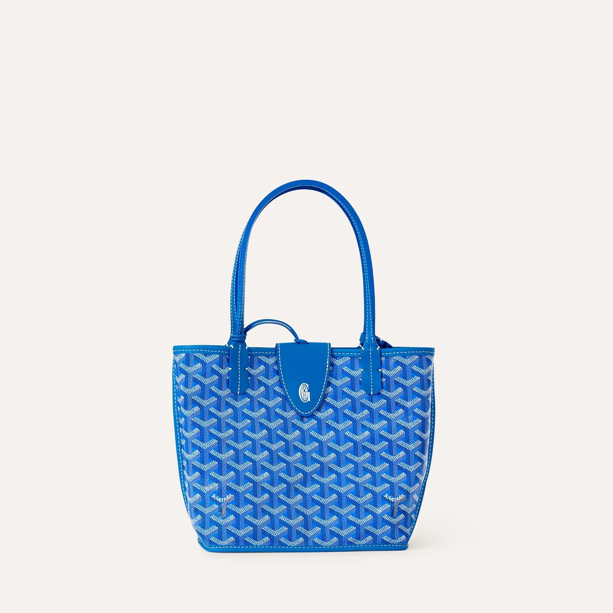 Goyard Mini ANJOU Bag