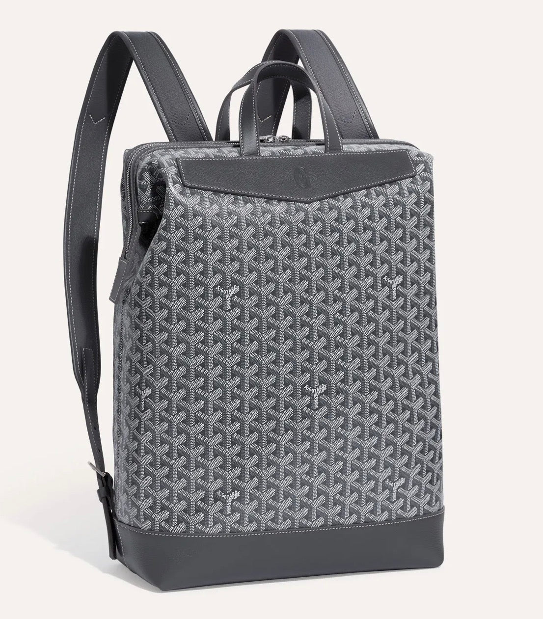 Goyard CISAPLIN Backpack